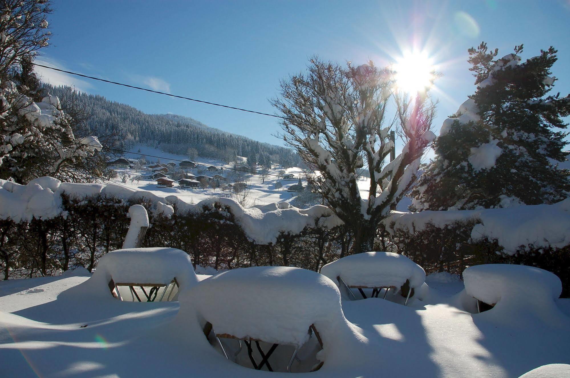 Hotel Le Caprice Des Neiges Combloux Dış mekan fotoğraf